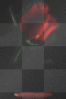 bleeding ros3