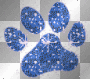 Blue Footprint