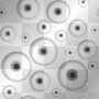 EyeBalls