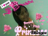 *~{PiNK}~*