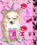 angel playboy bunny