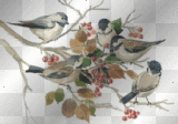 birds in a tree