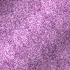 Orchid Shimmer