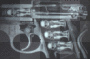 Skeleton Bullets