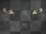 black cat