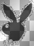 playboy