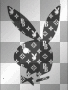 PlayBoy