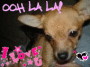 cccccccccute