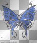 blue butterfly 