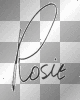 rosie