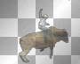bull
