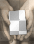 hands