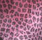 Pink Leopard Print