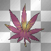 ralfies shit![[ just smoke it]]