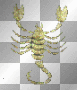 Scorpio