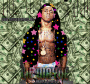 lil wayne