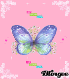 butterfly live