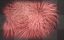 Happy 4th Of July
