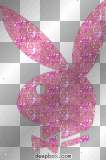 **PLAY BOY BUNNY**
