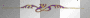 purple and gold divider