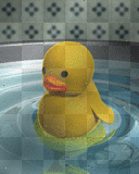 rubber ducky