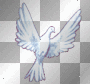 colombe