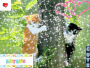 chats