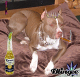 top dog