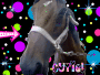 horsegal4ever