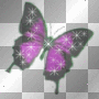 freindship buterfly