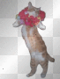 Dancing Cat