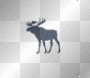 abercrombie moose.