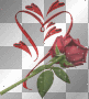 sparkle rose and heart