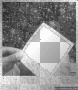 poloroid
