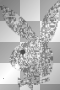 playboy bunny