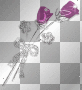 purple roses