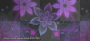 purple flowers