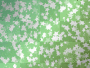 Green With White Stars
