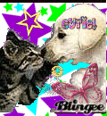 Cat and Dog In Love!!!