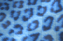 cheetah print