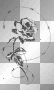 blackwhiterose