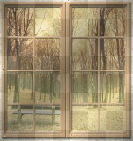 window rain