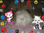 My Cat Sunuggles