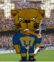 chivas1024pumas07