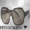SUN GLASSES