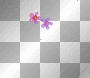flower heart