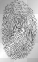 fingerprint