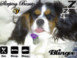 sleeping beauty