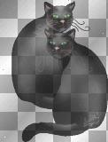 2 black cats