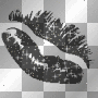 black kiss